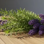Doğanın İyileştirici Gücü: Saçlarınız için Biberiye ve Lavanta Terapi