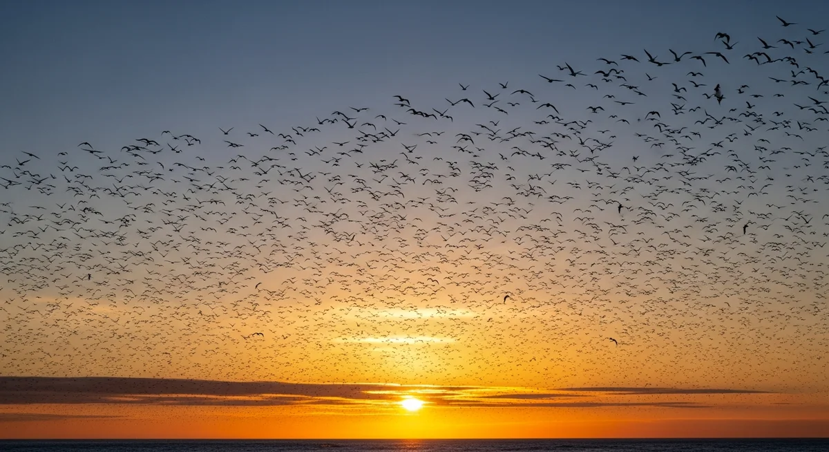 Nikolaas Tinbergen: Hayvan Davranışlarının Nobel'li Kaşifi