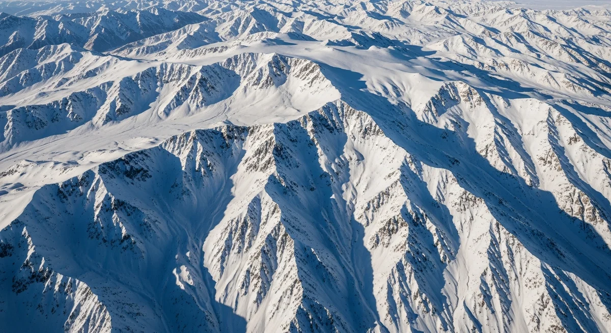 Tekrarlayan Güzellik: Doğanın Fraktal Sanatı detay 1