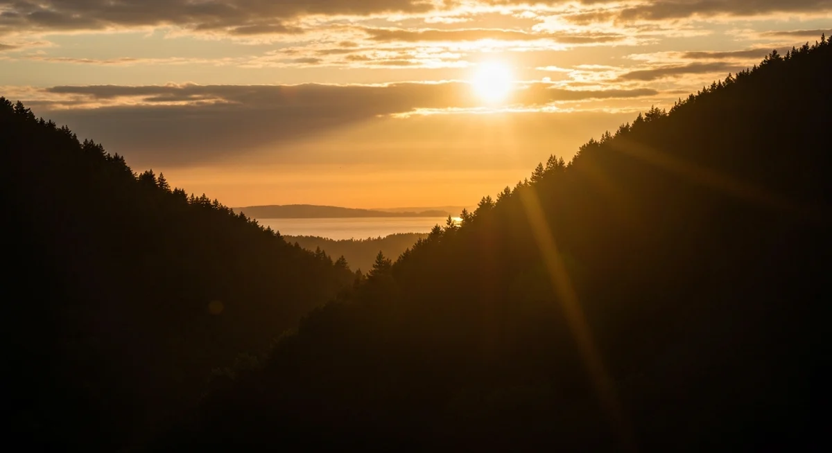Wangari Maathai: Afrika'nın Yeşili, Dünyanın Umudu